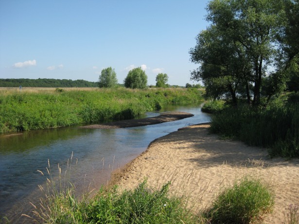 Der Fluss Ehle bei Biederitz