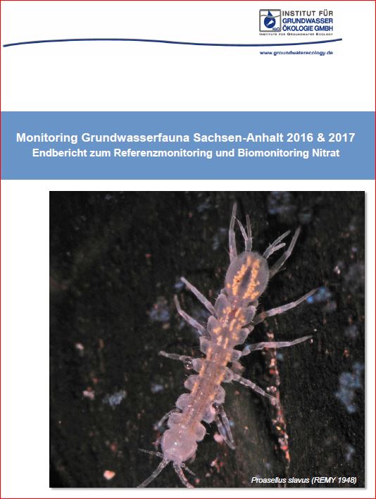 Titelseite des Berichtes "Monitoring Grundwasserfauna Sachsen-Anhalt 2016-2017"