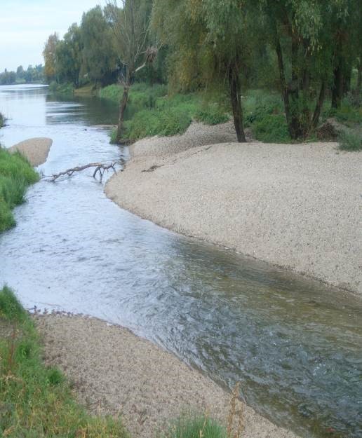 Renaturierung Alte Elbe bei Lostau