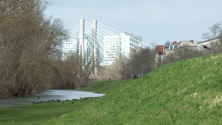 Blick auf einen Deich an der Büchnerstraße in Magdeburg. Vögel baden im Wasser der Alten Elbe. Im Hintergrund erheben sich die neue Pylonbrücke. und Hochhäuser