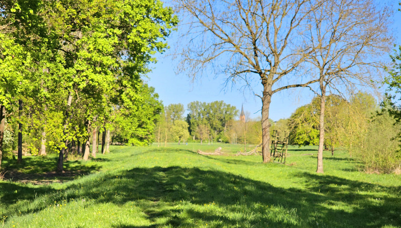 Blick auf einen Deich bei Wolmirstedt (Landkreis Börde). 
