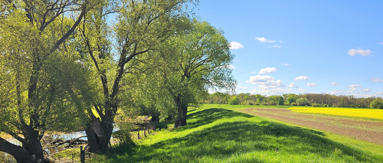 Blick auf einen Deich bei Wolmirstedt
