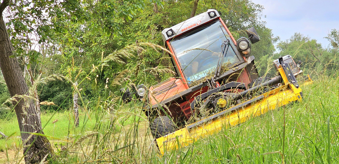 Deicharbeiten an der Elbe: Ein Traktor fährt auf der Deichböschung und mäht das Gras. Im Hintergrund Bäume und wolkiger Himmel. 