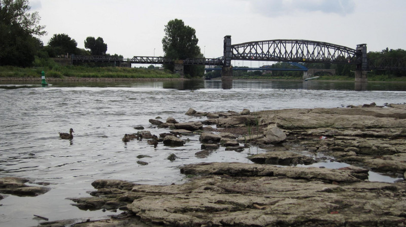 Domfelsen und Hubbrücke in Magdeburg bei Niedrigwasser der Elbe am 02.08.2019