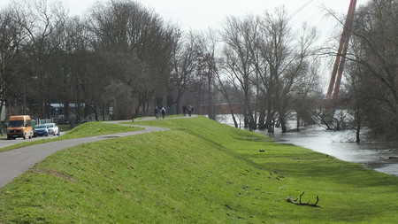 Blick auf den Elbdeich an der Büchnerstraße. 