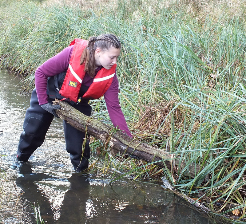 Eine junge Frau in Schutzkleidung holt einen Ast aus einem Gewässer.