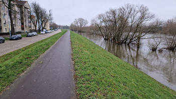 Blick auf den zu sanierenden Deichabschnitt an der Büchnerstraße in Cracau.
