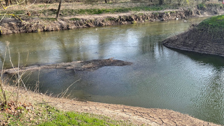 Blick auf einen der zugesetzten Schleusengräben. Aus dem seichten Wasser hebt sich eine Ablagerung von Sedimenten ab.