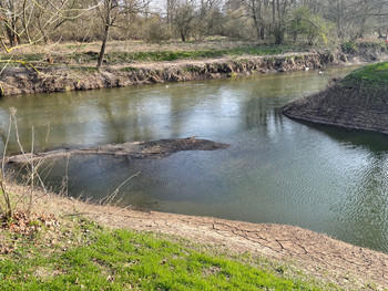 Blick auf einen der zugesetzten Schleusengräben. Aus dem seichten Wasser hebt sich eine Ablagerung von Sedimenten ab.