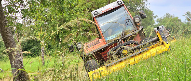 Deicharbeiten an der Elbe: Ein Traktor fährt auf der Deichböschung und mäht das Gras. Im Hintergrund Bäume und wolkiger Himmel. 