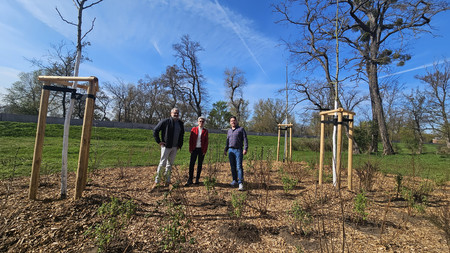 Mitarbeiter des Landesbetriebs für Hochwasserschutz und Wasserwirtschaft besichtigen eine neu bepflanzte Fläche. 