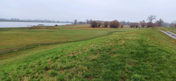 Symbolfoto: Blick auf die Elbe im Norden von Sachsen-Anhalt, trüber Himmel im Vordergrund ein Deich. 