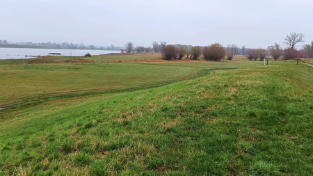 Symbolfoto: Blick auf die Elbe im Norden von Sachsen-Anhalt, trüber Himmel im Vordergrund ein Deich. 